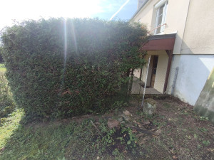 Photo de galerie - Tailles d'une haie de 3 m de long + arrachage des 2 m qui manque sur la droite car le tuyas était malade.