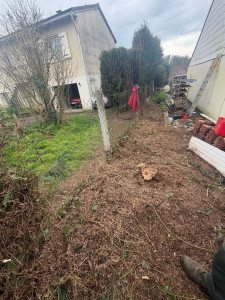 Photo de galerie - Elagage et coupe d'arbres