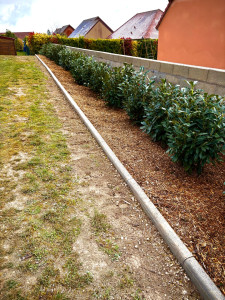 Photo de galerie - Pose de bordure et plantation de laurier 
