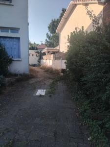 Photo de galerie - T'ai  de haie 