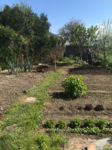 Photo de galerie - Jardinier