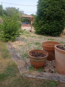 Photo de galerie - Jardinier