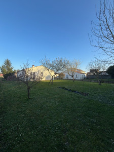 Photo de galerie - Tonte de pelouse et débroussaillage 