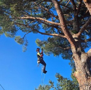 Photo de galerie - Taille 