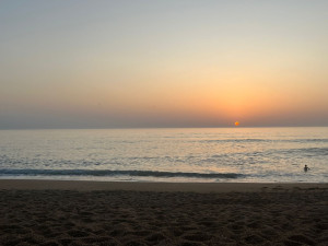 Photo de galerie - Garde animaux 