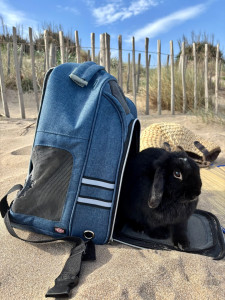 Photo de galerie - Lila, ma lapine de 4 ans