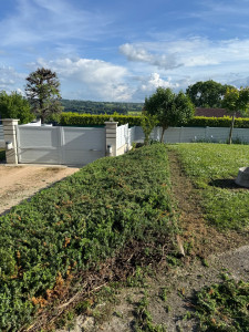 Photo de galerie - Taille de haies et d'arbustes