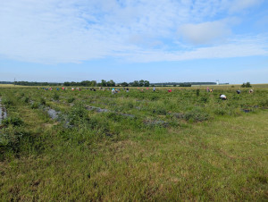 Photo de galerie - Je sais m'occuper d'un potager 