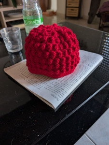 Photo de galerie - Bonnet framboise