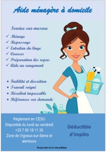 Photo de galerie - Service de ménage sur mesure, Paiement en Chèque emploi services (Cesu) 15h de l’heure 