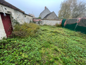 Photo de galerie - Tonte de pelouse - Débroussaillage