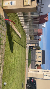 Photo de galerie - Dépose pelouse