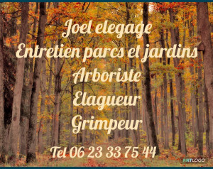 Photo de galerie - Paysagiste - Aménagement du jardin