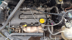 Photo de galerie - Timing chin replacement 