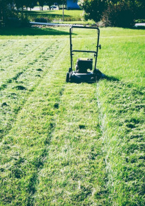 Photo de galerie - Tonte pelouse
