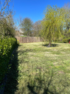 Photo de galerie - Tonte de pelouse - Débroussaillage