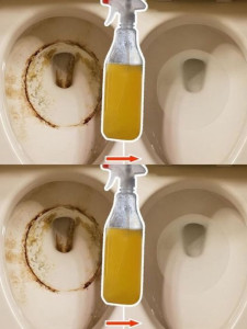 Photo de galerie - Cuvette sale entartrée avant et après 