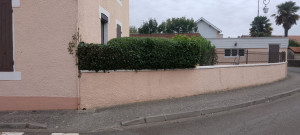 Photo de galerie - Taille 