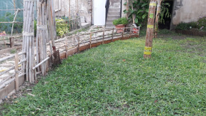 Photo de galerie - Tonte de pelouse - Débroussaillage