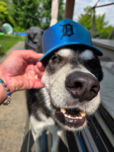 Photo de galerie - Fred touch