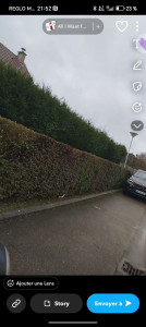 Photo de galerie - Taille de haie remise en forme travaille très soignée 