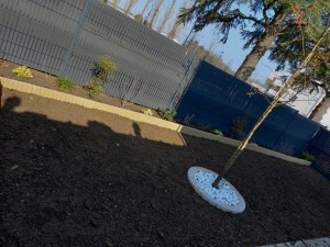 Photo de galerie - Paysagiste - Aménagement du jardin