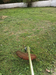 Photo de galerie - Débroussaillage d'un petit terrain