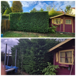 Photo de galerie - Photos avant et après 