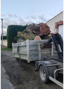 Photo de galerie - Évacuation déchets - Gravats