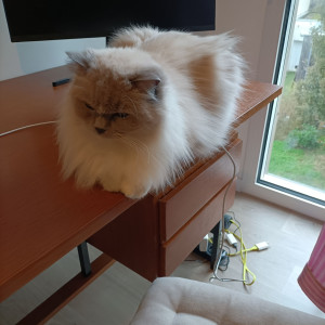 Photo de galerie - Clarisse ( 15 ans