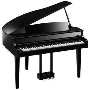 Photo de galerie - Je transporte avec grand soin tout type de piano. 