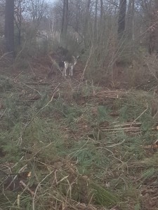 Photo de galerie - Artisan tout corps d'état - Rénovation