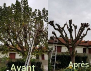 Photo de galerie - Avant et après 