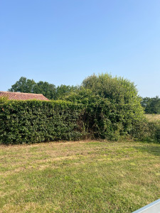 Photo de galerie - Taillage de haie propre et réussi pour le plus grand plaisir de Caroline et Jean Michel qui m'ont fait confiance 