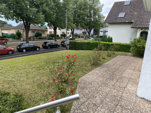 Photo de galerie - Tonte, débroussaillage et taille de haie d'un jardin privatif sur Reichstett le 19/07/25