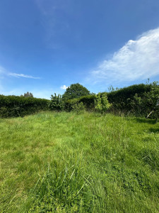 Photo de galerie - Avant / Débrousaillage et tonte d’un terrain de 1000m2