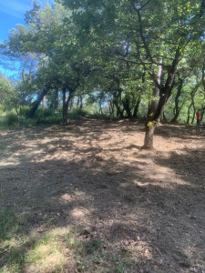 Photo de galerie - Débroussaillage bord de forêt/maison 