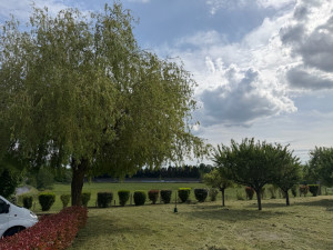 Photo de galerie - Défrichage d’environ 60 cm à l’autoportée toro 