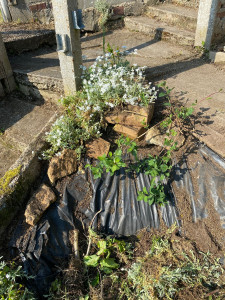 Photo de galerie - Nettoyage, désherbage d'un petit massif abandonné 