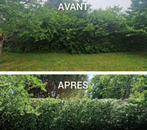 Photo de galerie - Avant apres