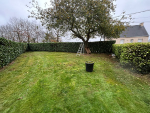 Photo de galerie - Taille de haies 