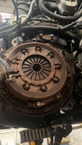 Photo de galerie - Embrayage 