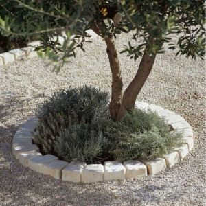 Photo de galerie - Paysagiste - Aménagement du jardin