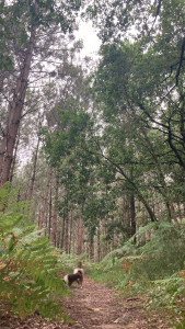 Photo de galerie - Aide à domicile 