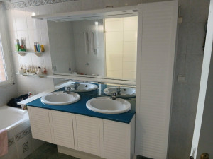 Photo de galerie - Photos avant rajeunissement du meuble vasque et de la douche 