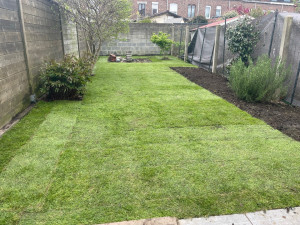 Photo de galerie - Paysagiste - Aménagement du jardin