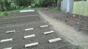 Photo de galerie - Résultat d'une préparation 