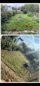 Photo de galerie - AVANT/APRES Taille de buissons et tonte de pelouse avec debroussaillage le long du grillage 