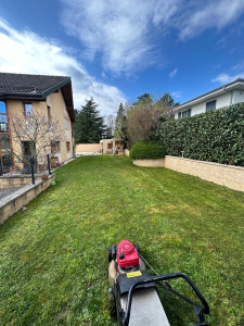 Photo de galerie - Tonte + Taille de haies + finition propre du terrain 
