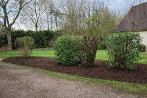 Photo de galerie - Remise en état d'un massif 